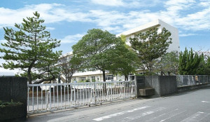 吉川市中央、土地の小学校画像です