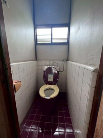 三郷市戸ケ崎、中古一戸建てのトイレ画像です