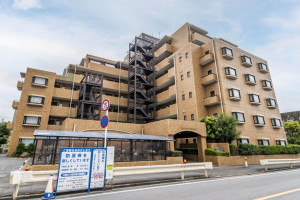 三郷市早稲田、マンションの外観画像です
