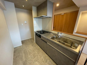 三郷市早稲田、マンションのキッチン画像です