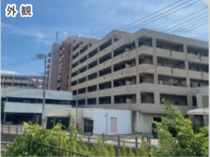 三郷市戸ケ崎、マンションの外観画像です
