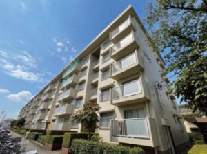三郷市早稲田、マンションの外観画像です