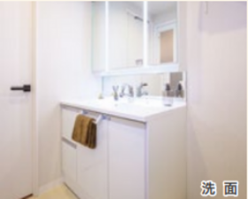 吉川市大字保、マンションの洗面画像です