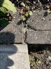 前橋市本町、土地の画像です