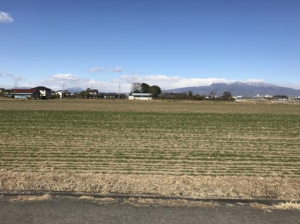 前橋市下佐鳥町、土地の画像です