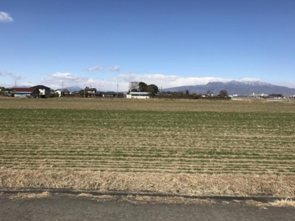 前橋市下佐鳥町、土地の画像です