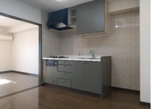 前橋市住吉町、マンションの画像です