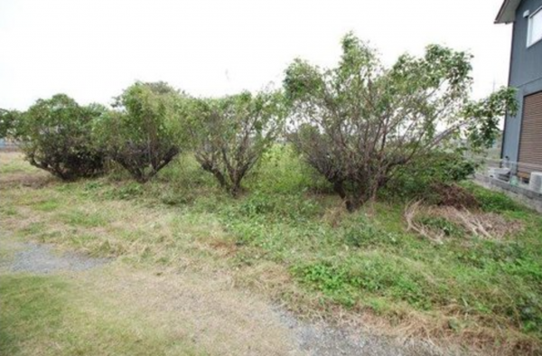 前橋市女屋町、土地の画像です