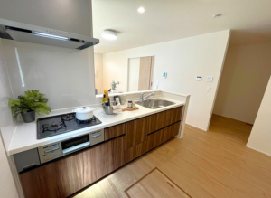 前橋市南町、新築一戸建ての画像です