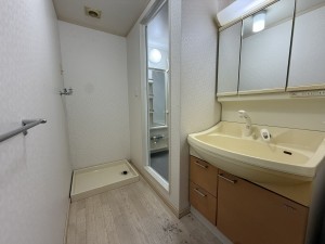 前橋市西片貝町、収益物件/アパートの洗面画像です