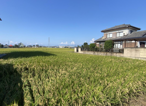 前橋市上長磯町、土地の画像です