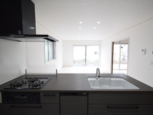 前橋市下細井町、新築一戸建ての画像です