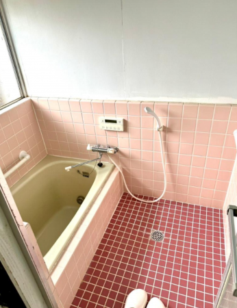 前橋市下細井町、収益物件/住宅の画像です