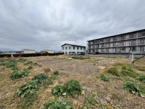 前橋市上泉町、土地の画像です