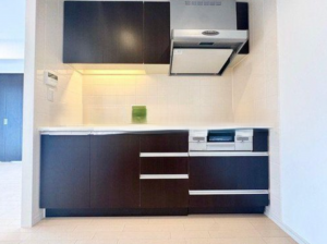 前橋市大手町、マンションの画像です