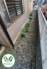 前橋市箱田町、中古一戸建ての外観画像です