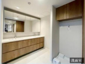 渋谷区南平台町、マンションの洗面画像です