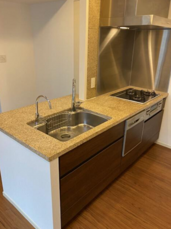 渋谷区渋谷、マンションのキッチン画像です