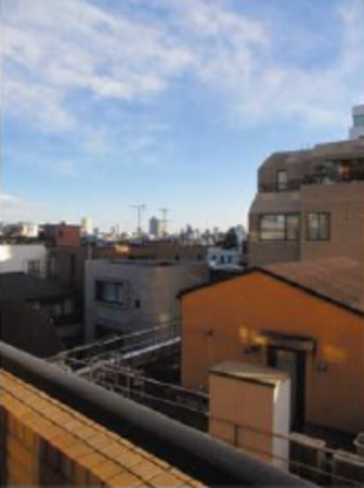 渋谷区広尾、マンションのその他画像です