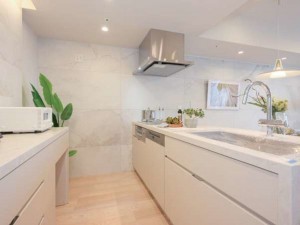 渋谷区渋谷、マンションのキッチン画像です