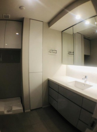 渋谷区南平台町、マンションの洗面画像です