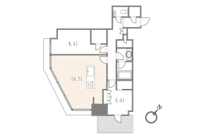 渋谷区渋谷、マンションの間取り画像です
