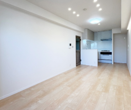 渋谷区幡ヶ谷、マンションの居間画像です