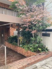 渋谷区桜丘町、マンションのエントランス画像です