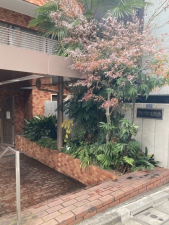 渋谷区桜丘町、マンションのエントランス画像です
