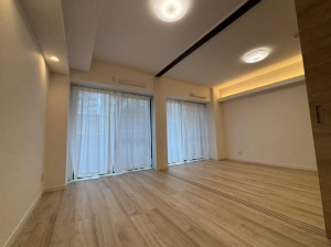 港区、マンションの居間画像です