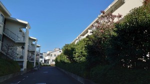 相模原市南区西大沼、マンションの画像です