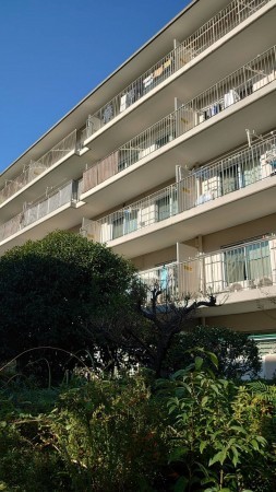 相模原市南区新磯野、マンションの画像です