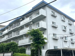 相模原市南区上鶴間本町、マンションの画像です