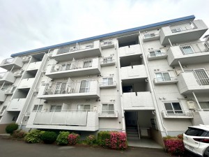 相模原市南区上鶴間本町、マンションの画像です