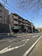 相模原市南区上鶴間、マンションの画像です