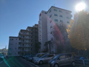 相模原市南区大野台、マンションの画像です