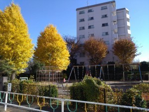 相模原市南区大野台、マンションの画像です