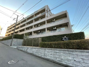 相模原市南区上鶴間本町、マンションの画像です