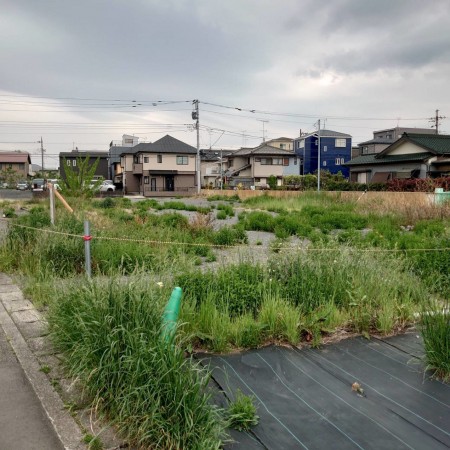 相模原市南区麻溝台、土地の画像です