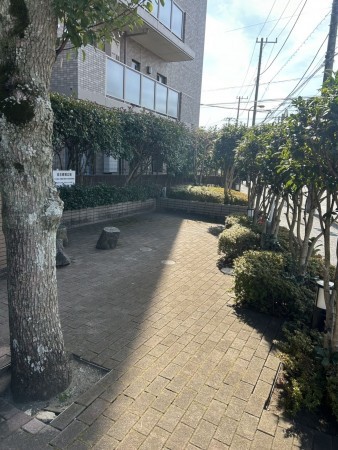 相模原市南区西大沼、マンションの画像です