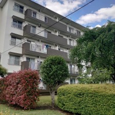 相模原市南区桜台、マンションの画像です
