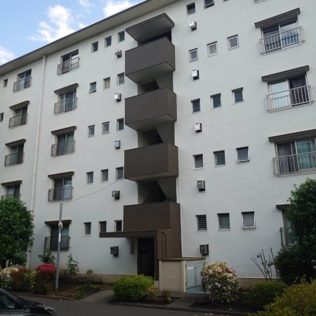 相模原市南区桜台、マンションの画像です