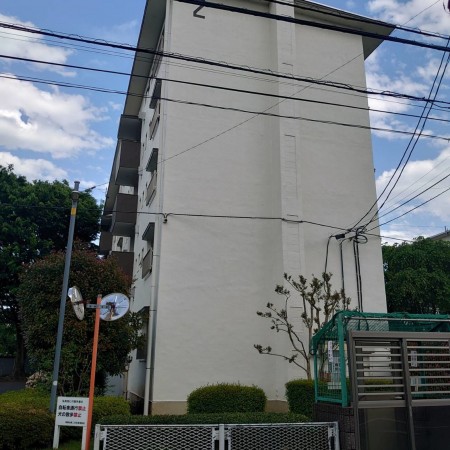 相模原市南区桜台、マンションの画像です
