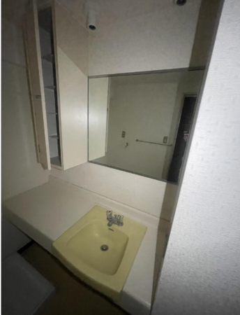 相模原市南区松が枝町、マンションの画像です