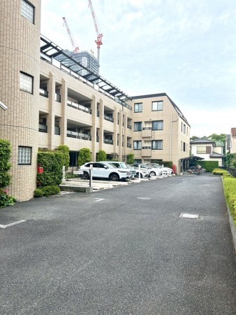 相模原市南区相模大野、マンションの画像です