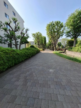 相模原市南区新磯野、マンションの画像です