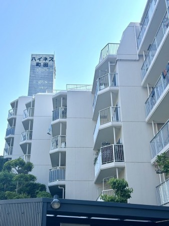 相模原市南区鵜野森、マンションの画像です