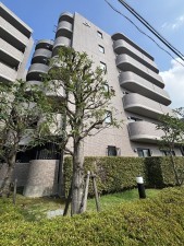 相模原市南区南台、マンションの画像です