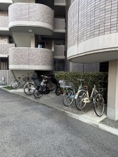 相模原市南区南台、マンションの画像です