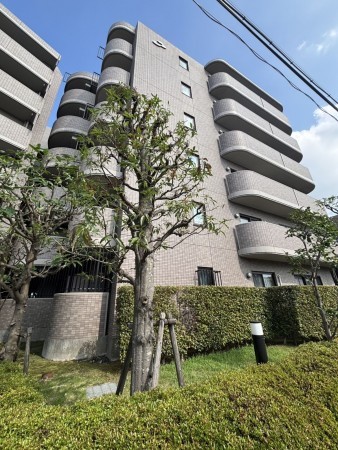 相模原市南区南台、マンションの画像です